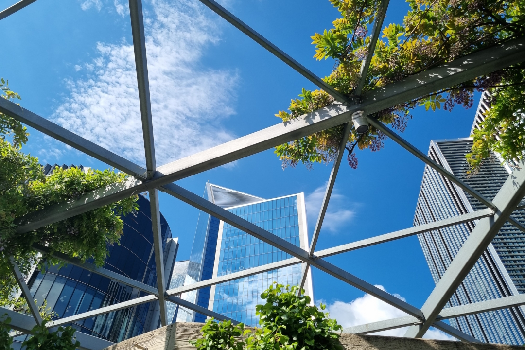 Sustainable Tower Design and Development