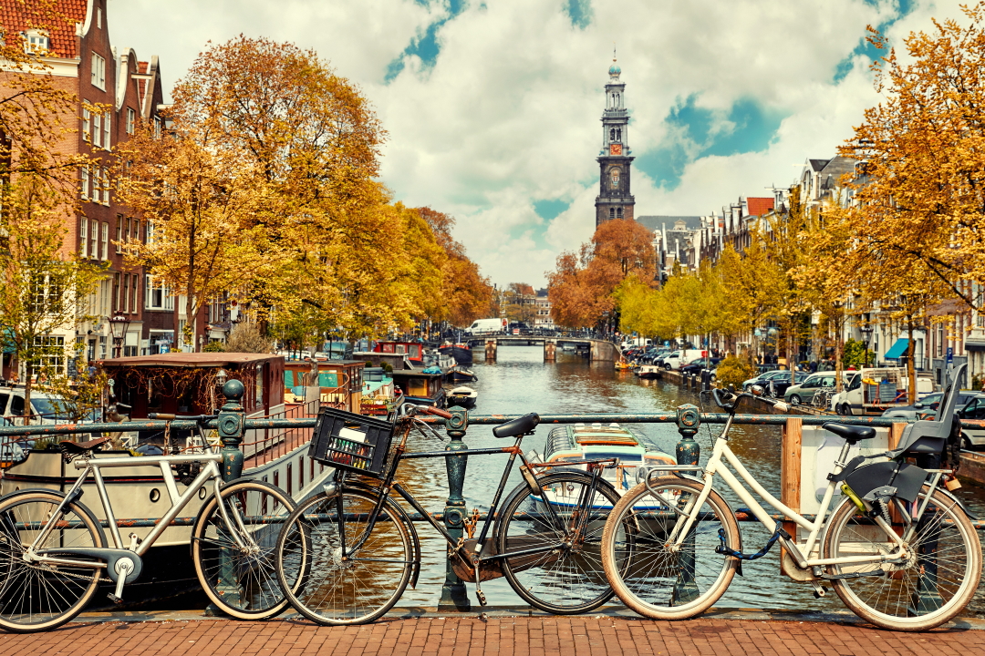 TRADS Market Intelligence Briefing – Day Trip to Amsterdam